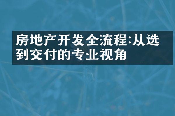 房地产开发全流程:从选址到交付的专业视角