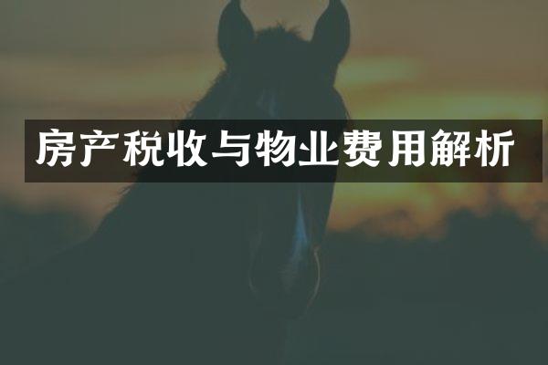 房产税收与物业费用解析