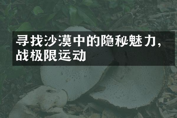 寻找沙漠中的隐秘魅力,挑战极限运动