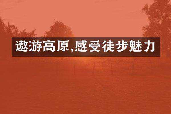 遨游高原,感受徒步魅力