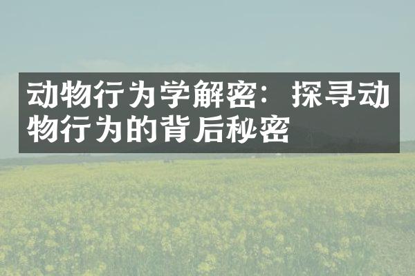 动物行为学解密：探寻动物行为的背后秘密
