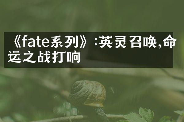 《fate系列》:英灵召唤,命运之战打响