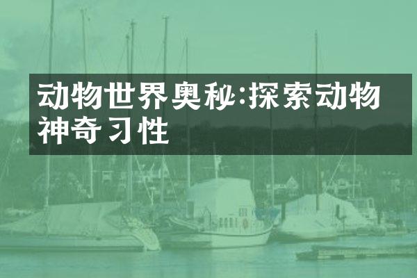 动物世界奥秘:探索动物的神奇习性