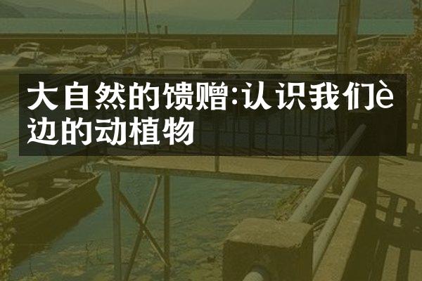 大自然的馈赠:认识我们身边的动植物