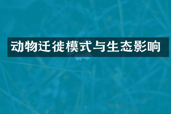 动物迁徙模式与生态影响