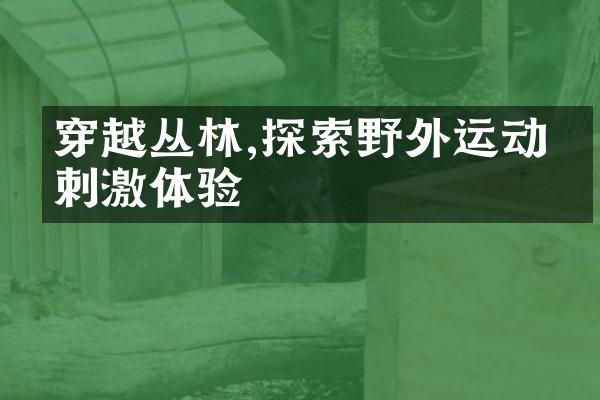 穿越丛林,探索野外运动的刺激体验
