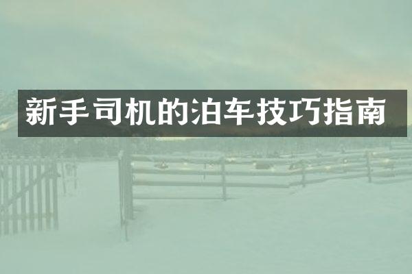 新手司机的泊车技巧指南
