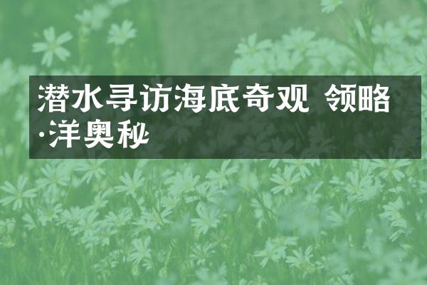 潜水寻访海底奇观 领略海洋奥秘