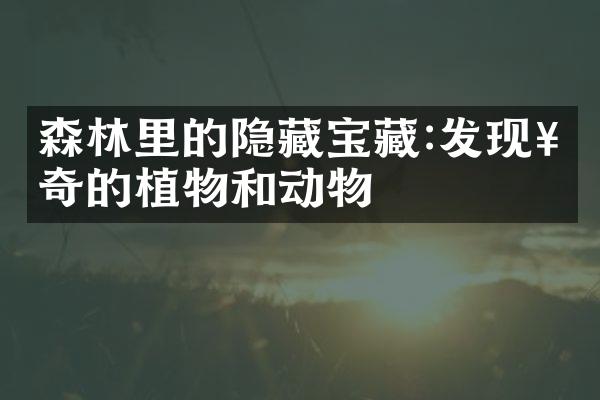 森林里的隐藏宝藏:发现神奇的植物和动物