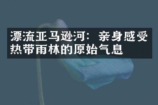 漂流亚马逊河：亲身感受热带雨林的原始气息