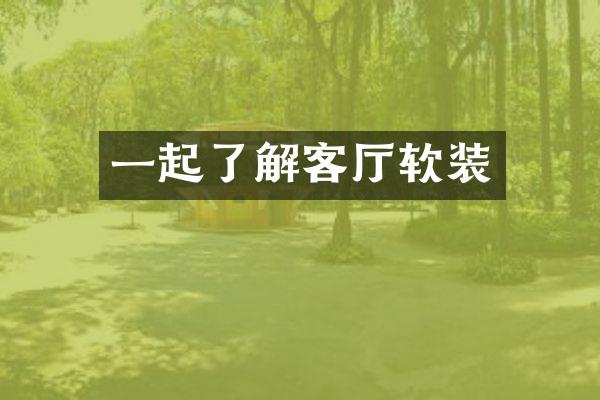 一起了解客厅软装