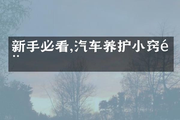 新手必看,汽车养护小窍门