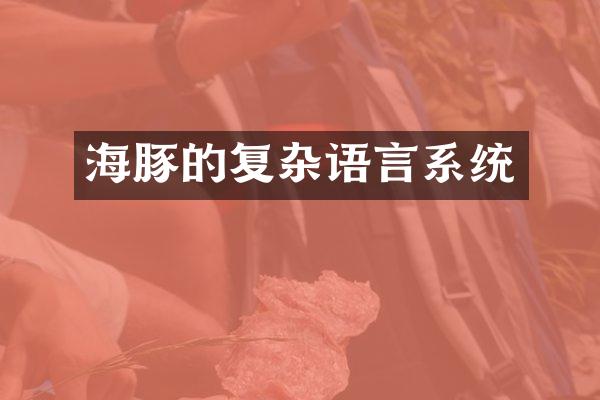 海豚的复杂语言系统