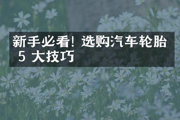 新手必看! 选购汽车轮胎的 5 大技巧