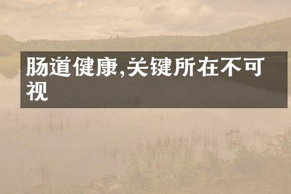 肠道健康,关键所在不可忽视