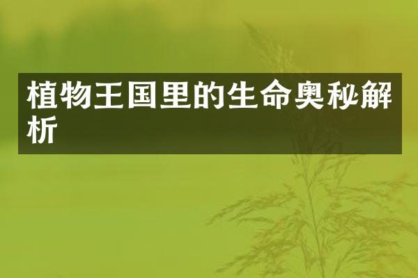植物王国里的生命奥秘解析