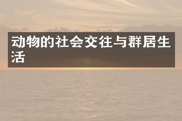 动物的社会交往与群居生活