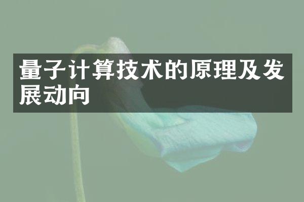 量子计算技术的原理及发展动向
