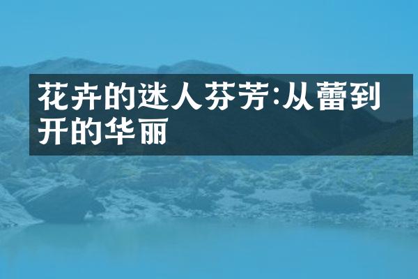 花卉的迷人芬芳:从蕾到盛开的华丽