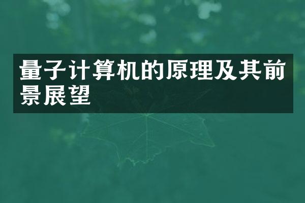 量子计算机的原理及其前景展望