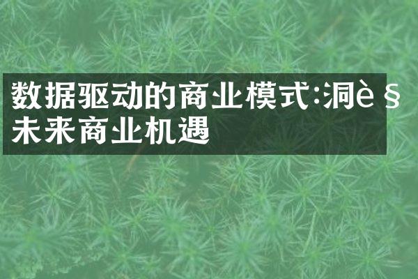 数据驱动的商业模式:洞见未来商业机遇