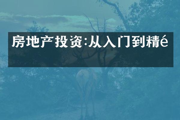 房地产投资:从入门到精通
