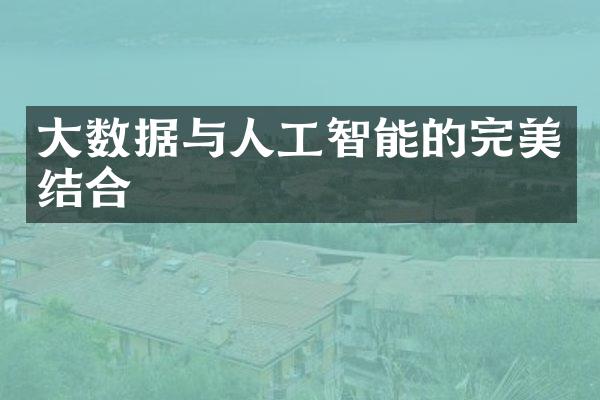 大数据与人工智能的完美结合
