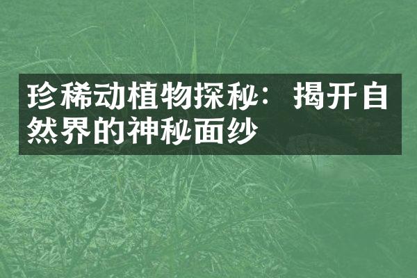 珍稀动植物探秘：揭开自然界的神秘面纱