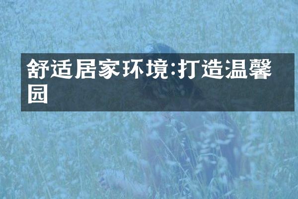 舒适居家环境:打造温馨家园