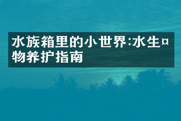 水族箱里的小世界:水生植物养护指南