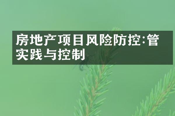 房地产项目风险防控:管理实践与控制