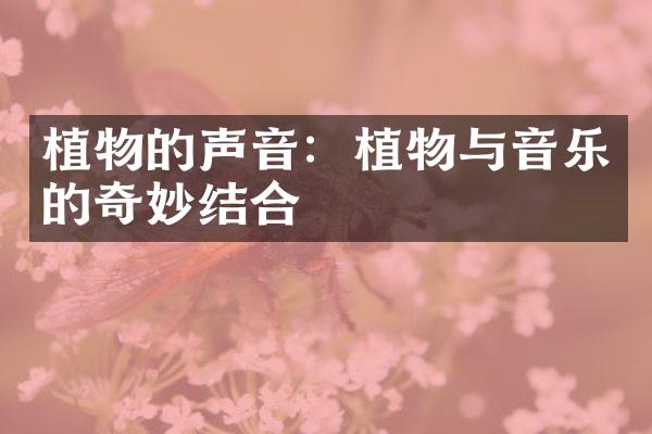 植物的声音：植物与音乐的奇妙结合