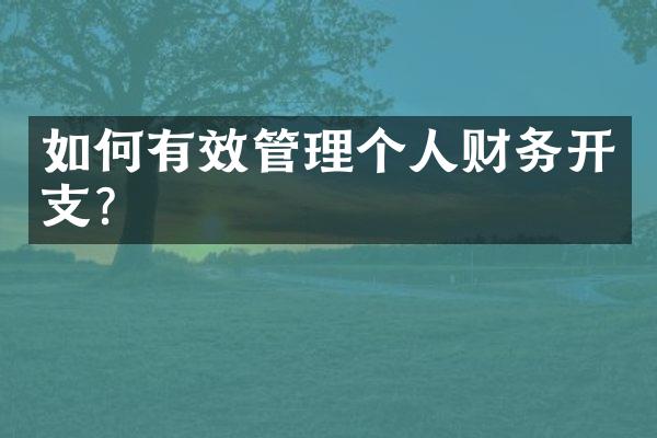 如何有效管理个人财务开支?