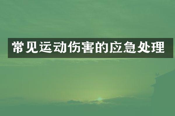 常见运动伤害的应急处理