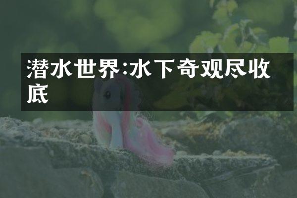 潜水世界:水下奇观尽收眼底