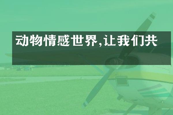 动物情感世界,让我们共情
