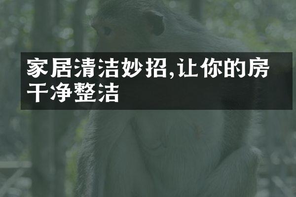 家居清洁妙招,让你的房子干净整洁