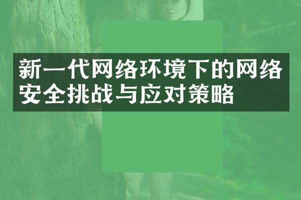 新一代网络环境下的网络安全挑战与应对策略