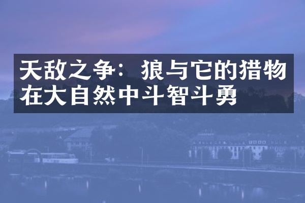 天敌之争：狼与它的猎物在大自然中斗智斗勇