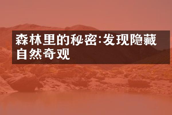 森林里的秘密:发现隐藏的自然奇观