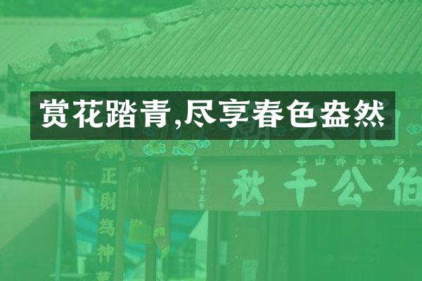 赏花踏青,尽享春色盎然