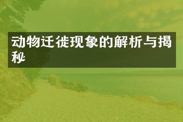 动物迁徙现象的解析与揭秘