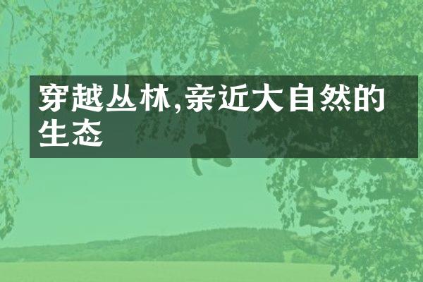 穿越丛林,亲近大自然的原生态