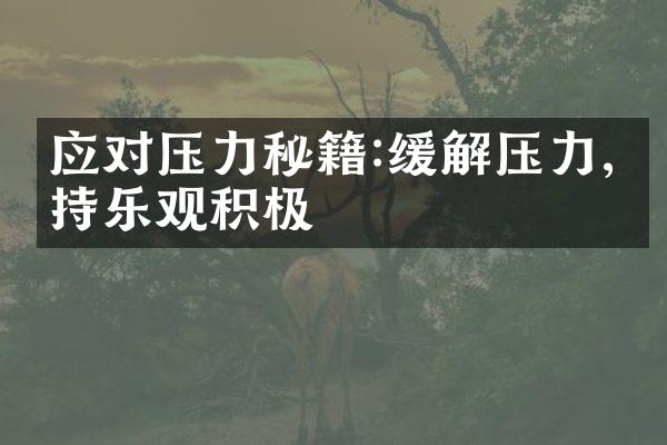 应对压力秘籍:缓解压力,保持乐观积极