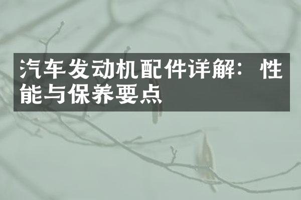 汽车发动机配件详解：性能与保养要点