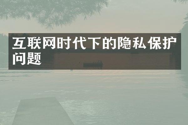 互联网时代下的隐私保护问题