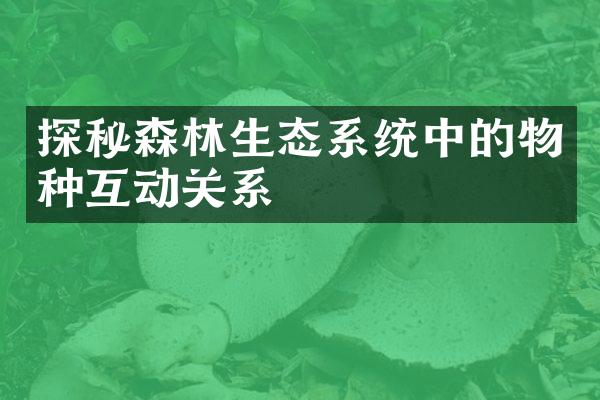 探秘森林生态系统中的物种互动关系