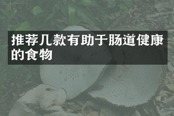 推荐几款有助于肠道健康的食物