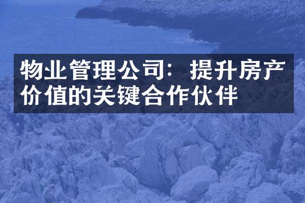 物业管理公司：提升房产价值的关键合作伙伴