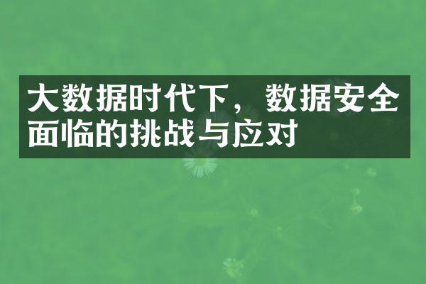 大数据时代下，数据安全面临的挑战与应对